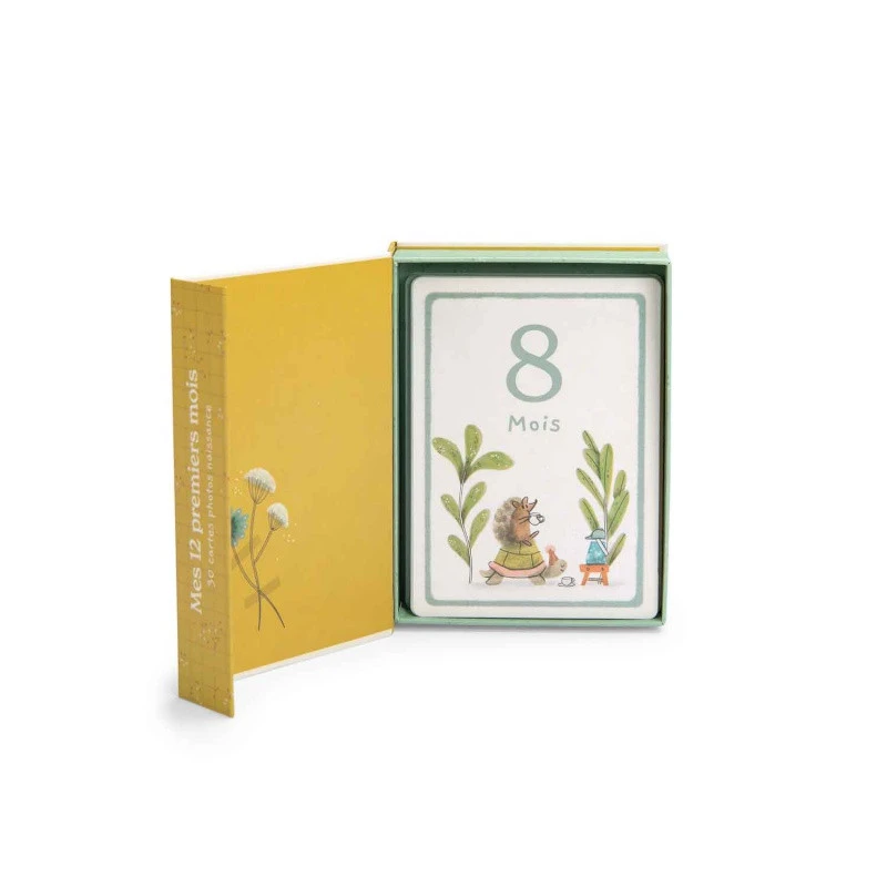 Cartes Mes 12 Premiers Mois MOULIN ROTY Trois Petits Lapins 6 Cartes Mes 12 Premiers Mois MOULIN ROTY Trois Petits Lapins – Image 4
