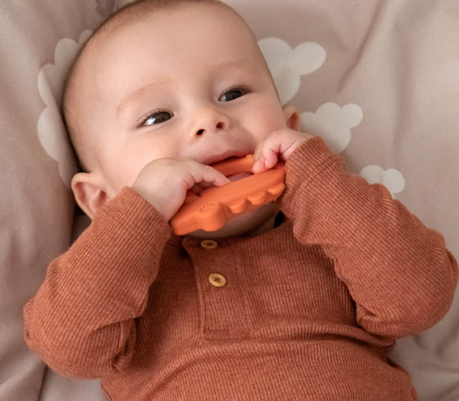 Moulin Roty -Moulin Roty dfgw